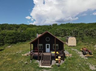 25704 Horse Creek Rd, Cedaredge, CO 81413