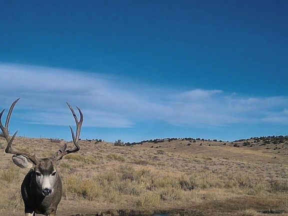 3rd image of Airport Road