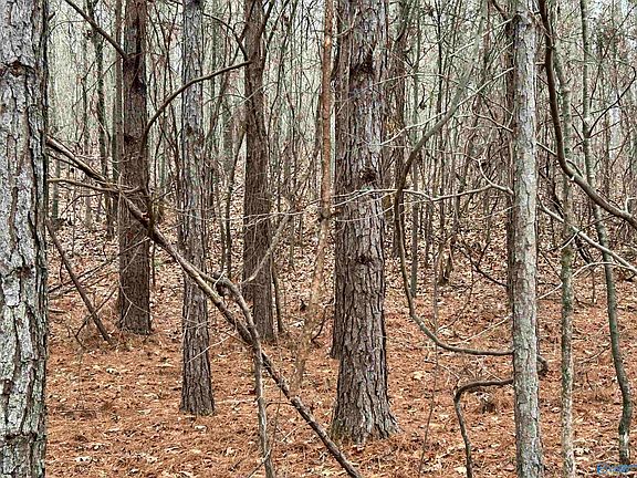 2nd image of 285/ACRE S County Road 686
