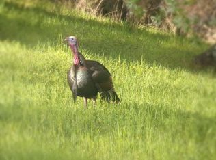 17200 Gold Valley Rd, Fiddletown, CA 95629