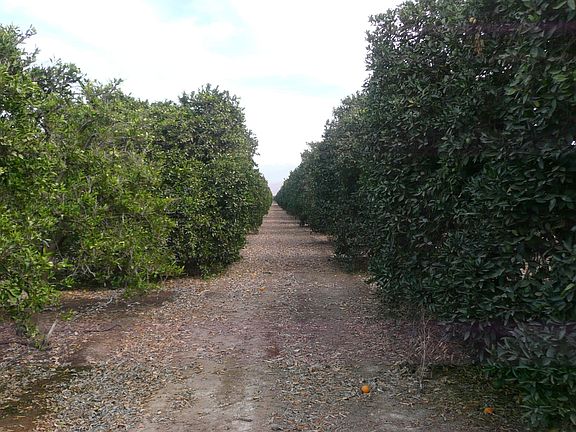2nd image of 34499 Road 188