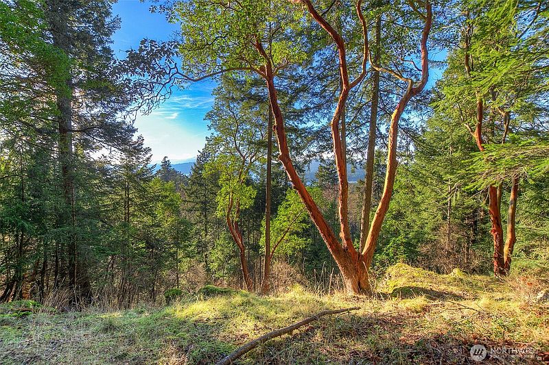5th image of 558 Buck Mt. Road