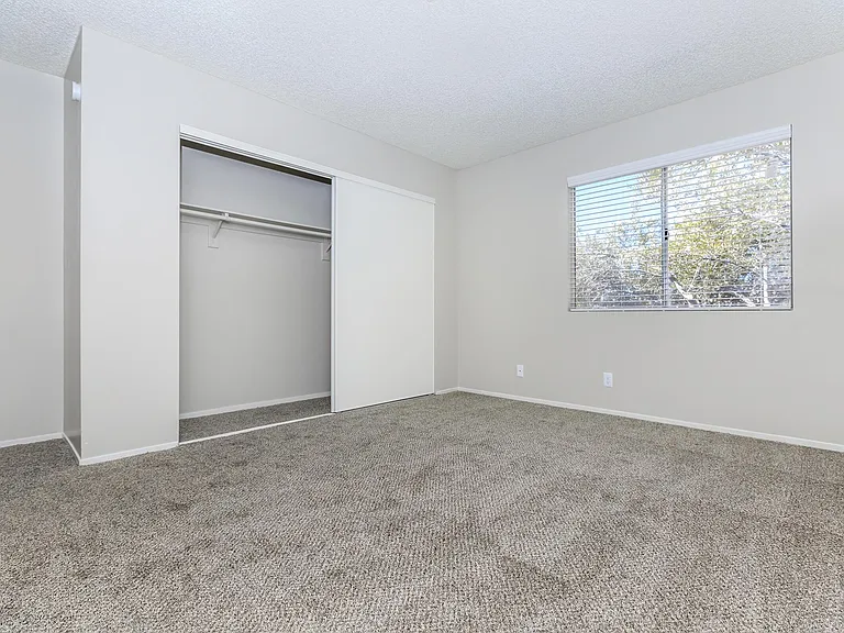 PLUSH CARPETS