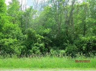 0 Hotchkiss Rd, Freeland, MI 48623