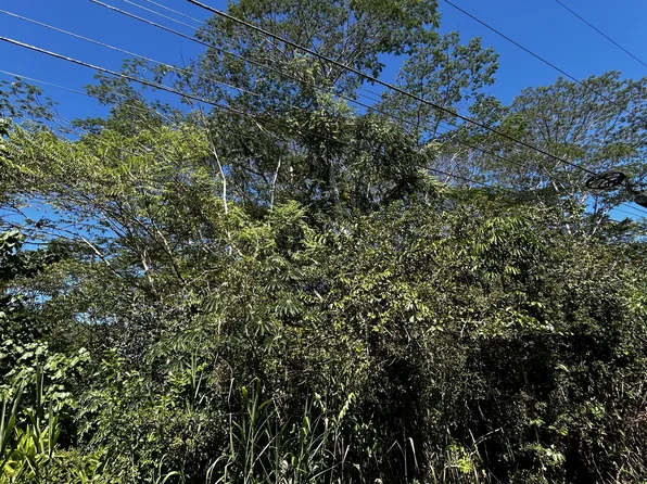 15-2727 Moano St, Pahoa, HI 96778