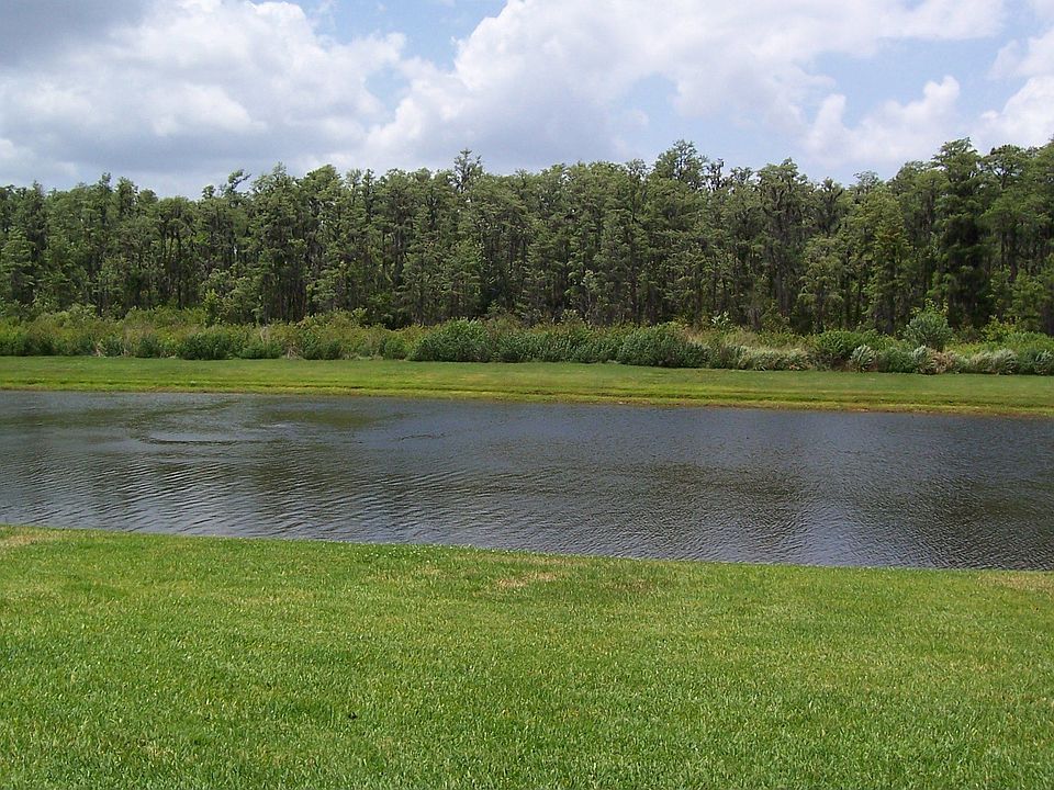 Backyard view to die for!