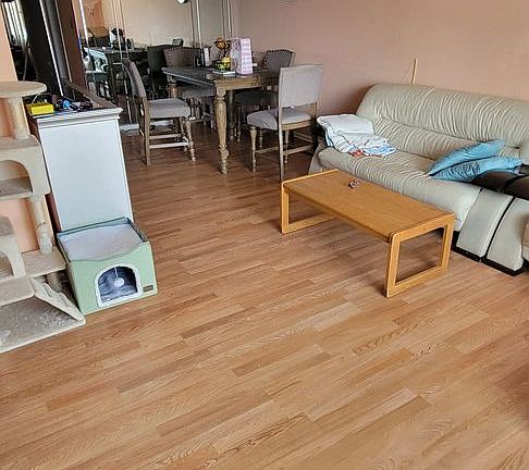 5th image of 9906 Bustleton Ave APT B13