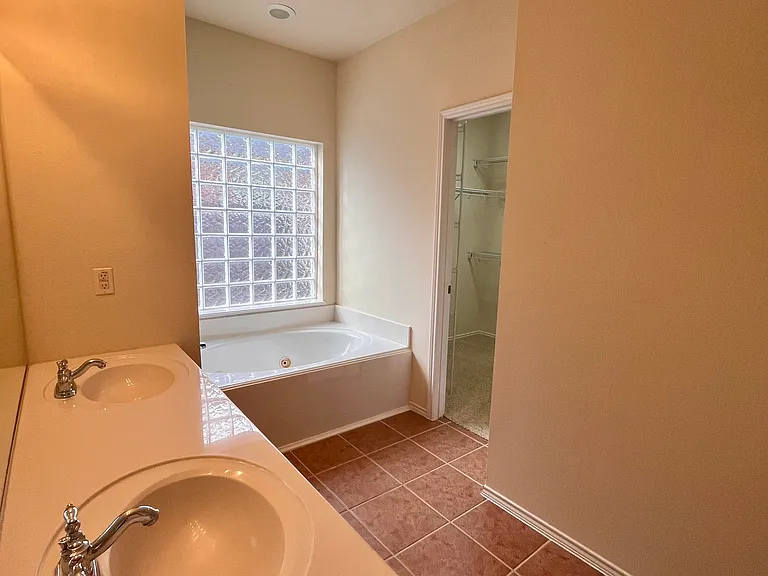 Downstairs Master Bathroom