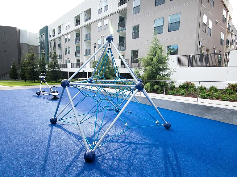 Cadence Apartments — Photo 5