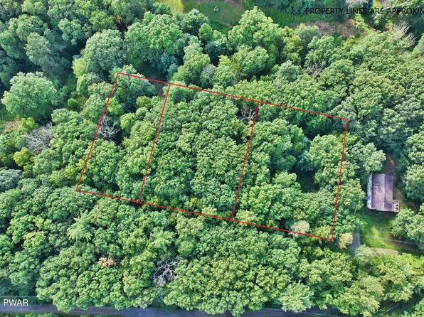 Violet Ln, Dingmans Ferry, PA 18328