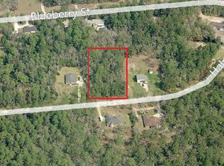 2662 Halperns Way, Middleburg, FL 32068