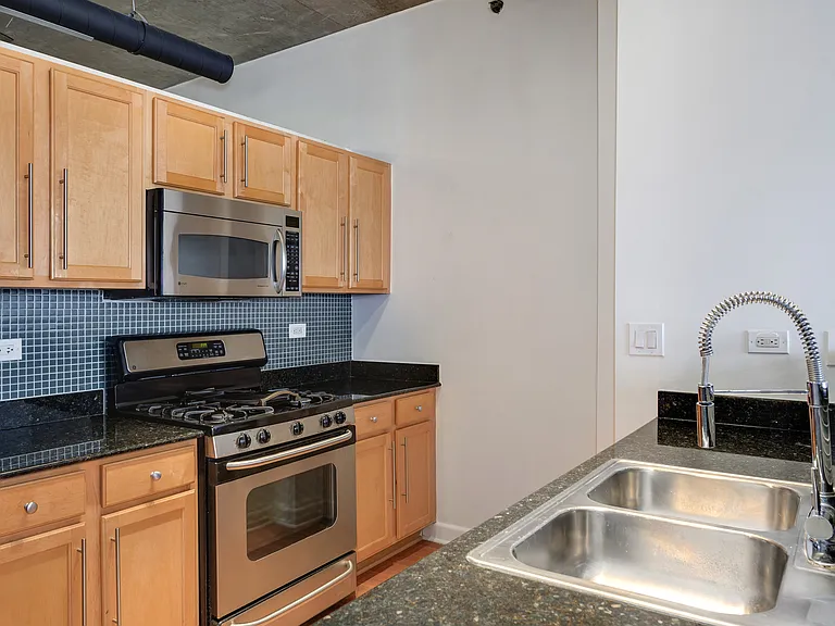 1305 S Michigan Ave #1407 — Photo 7