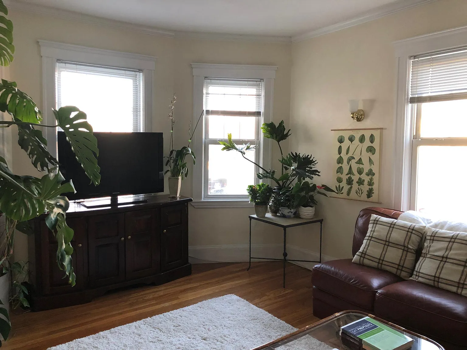 122 Belmont St — Photo 1