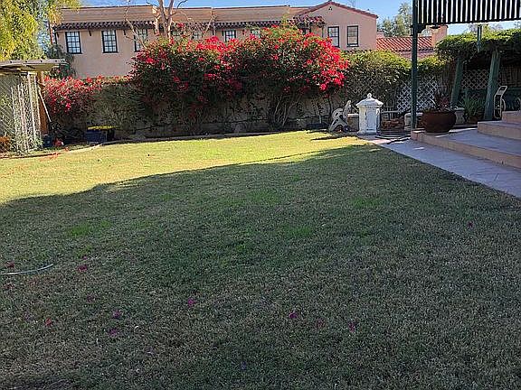 Mature backyard landscaping 