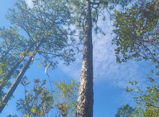 0 Smith Creek Rd, Tallahassee, FL 32310