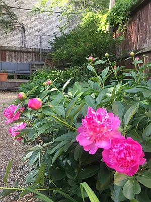 Sold by The Burkhardt Group | media 35