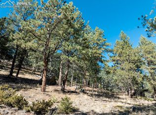 205 Stonehenge Dr, Florissant, CO 80816