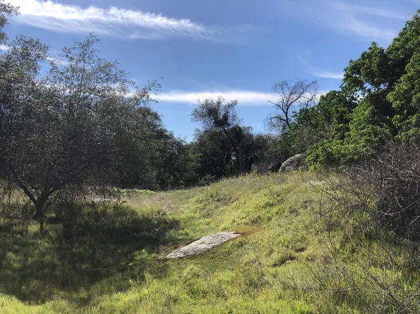 0 Partridge Ln Lot 44, Squaw Valley, CA 93675