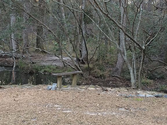 Bench by stocked pond