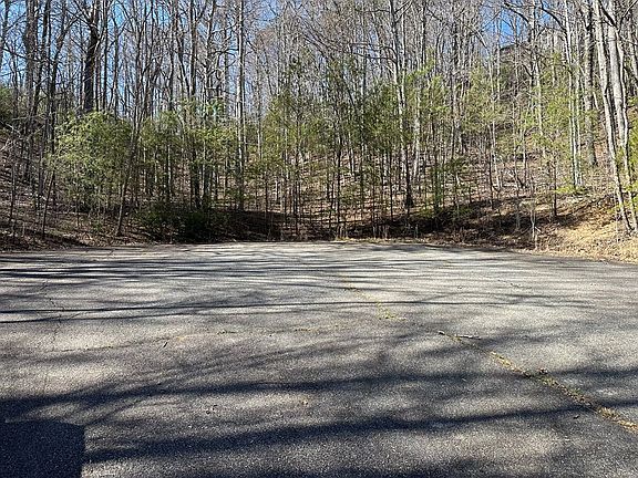 4th image of LOT 103 Asheland Cove Dr