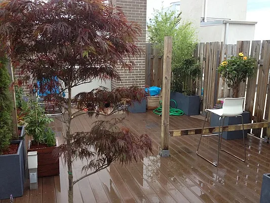 Rented by STAR CITIES INTERNATIONAL PROPERTY CORPORATION | media 38