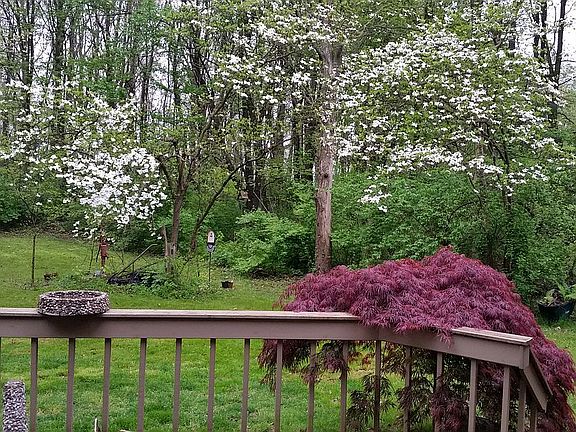 Spring Back Yard Right 01