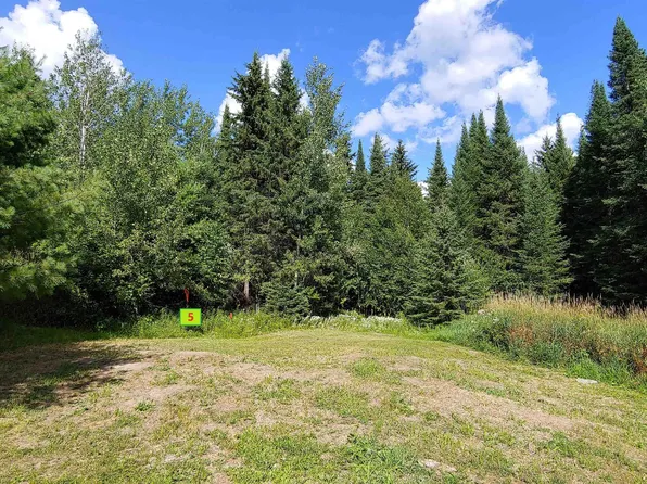10339 Lot 5 Ash River Tr, Orr, MN 55771