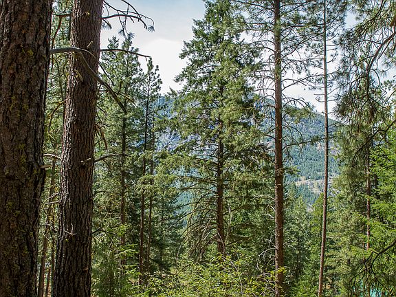 4th image of 9 Quaking Aspen Dr