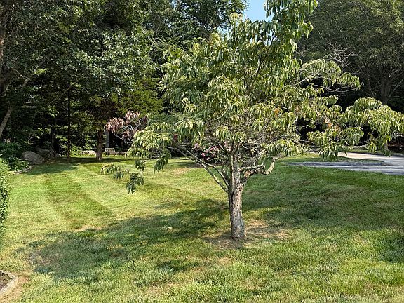 2nd image of 1 Castle Meadow Drive #1