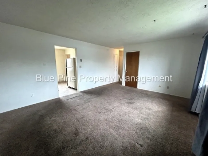2 bed, 1.0 bath, 800 sqft, $1,000 — Photo 2
