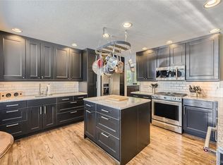 10062 Silver Maple Rd, Highlands Ranch, CO 80129