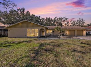 3245 Canal Pl, Land O Lakes, FL 34639