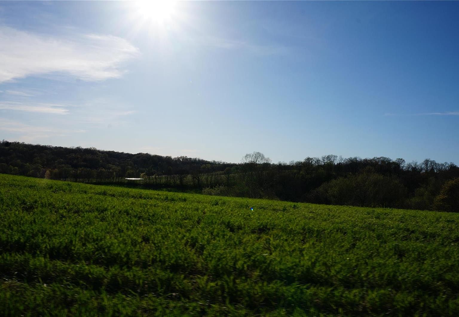 1355 Two Story Hill Rd, Golden Eagle, IL 62036 Zillow