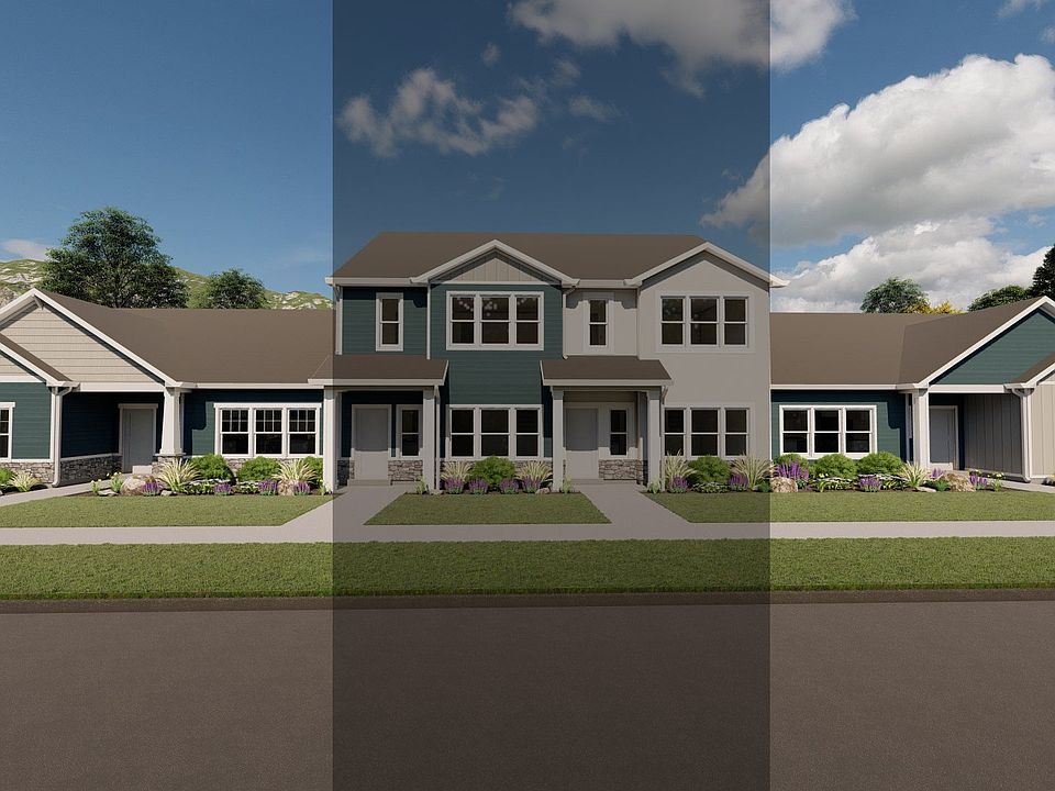 Elevation rendering