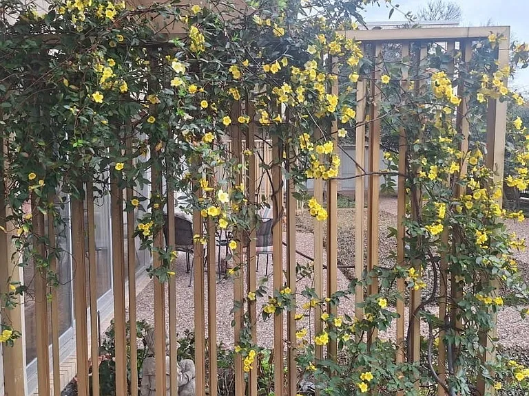Patio Garden off unit