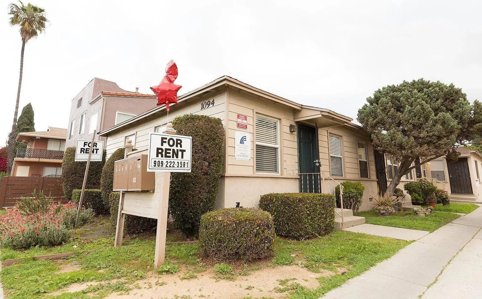 1 bed, 1.0 bath, 550 sqft, $1,695 — Photo 4