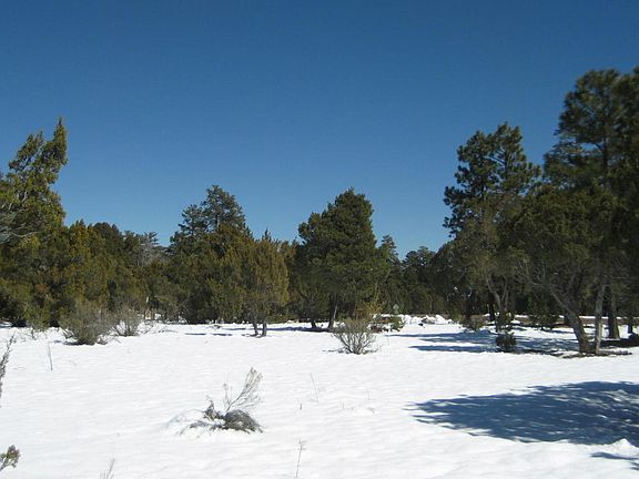 2nd image of 1454 Low Mountain Trl