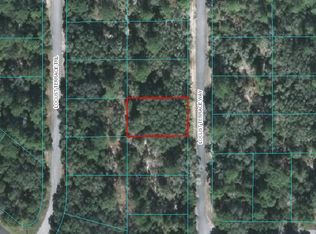 16 Locust Terrace Way, Ocala, FL 34472