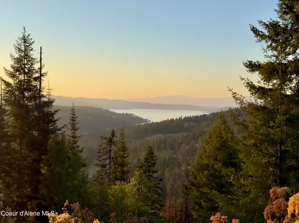 9 E Squaw Spur Rd, Harrison, ID 83833