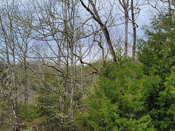 2nd image of 0 Eagle Springs Rd