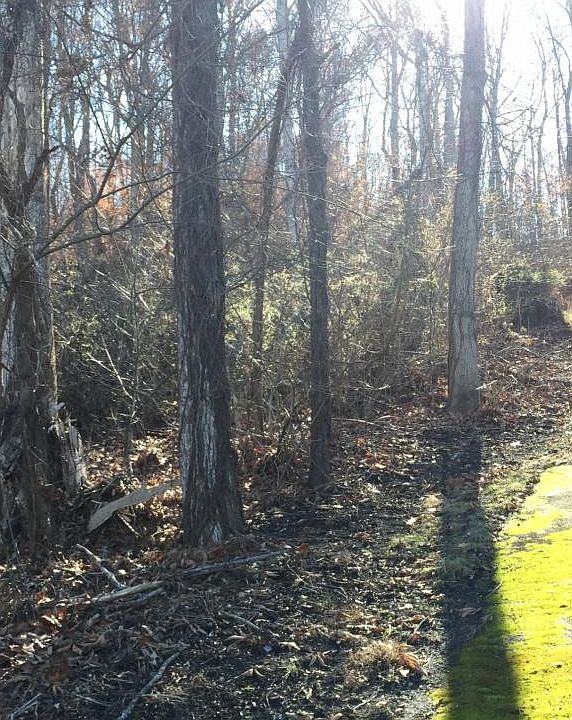 2nd image of 0 Rhody Dr