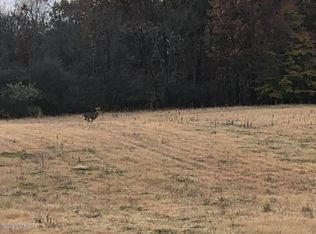 S Hillsdale Rd, Camden, MI 49232