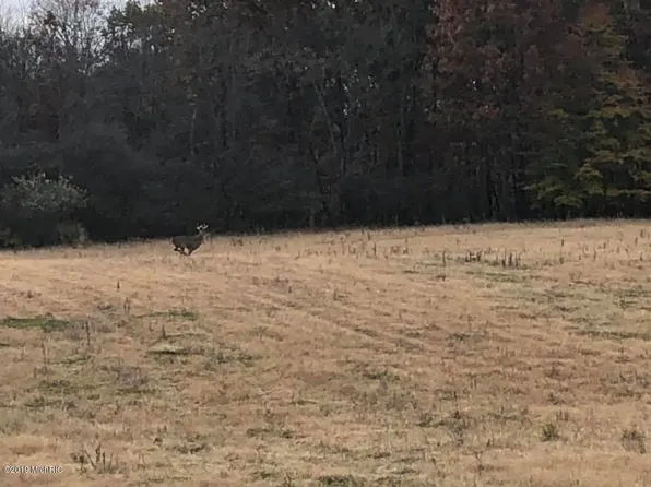 S Hillsdale Rd, Camden, MI 49232