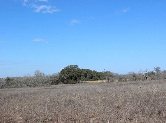 5th image of 6528 E Us Hwy 90