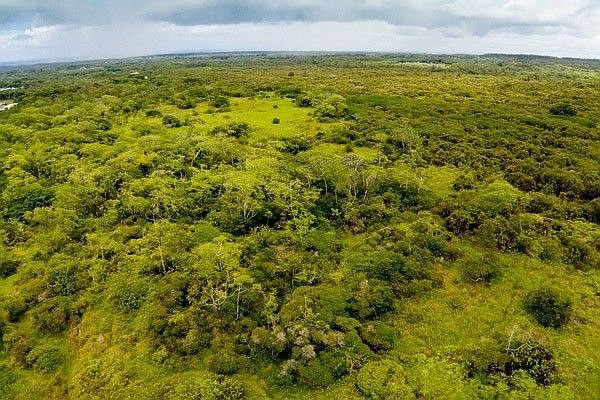 1st image of 3540 Lakimau Pl