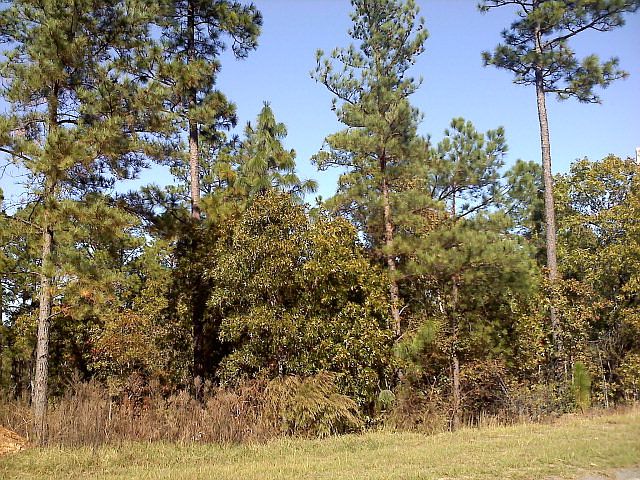 1st image of 696 Callaway Dr