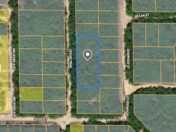 Cedar Trl #3, Interlachen, FL 32148