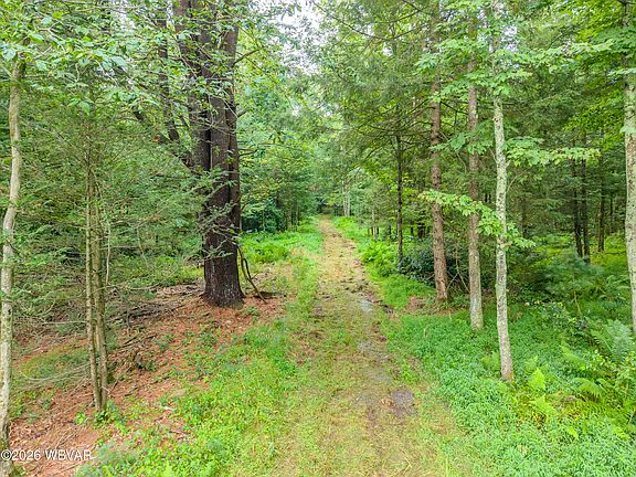 5th image of 7606 Rose Valley Rd Parcel 2