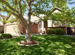 9667 Franklin St, Thornton, CO 80229