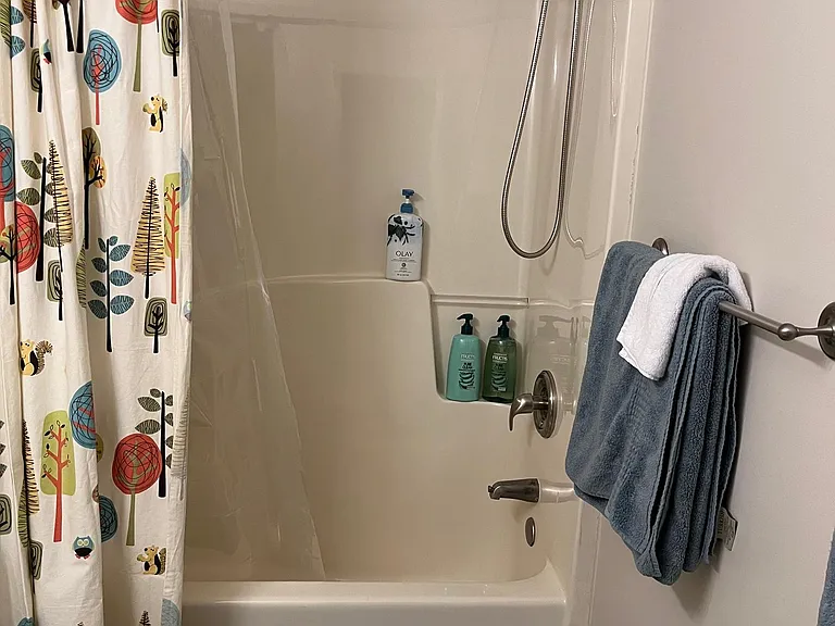 Hall Bathroom